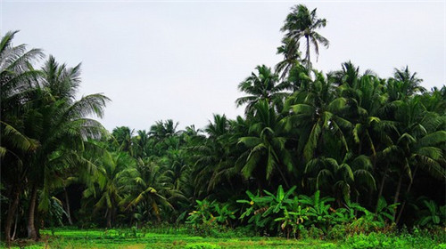 重庆品牌净水机加盟费多少，重庆大型净水器生产基地