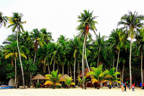 阿坝州O2O加盟创业选择哪家品牌受欢迎