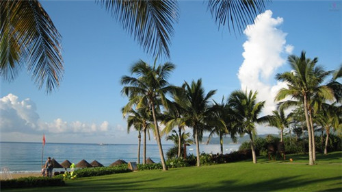 察哈尔右翼中旗黄精茶加盟什么项目最赚钱