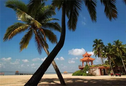 蚂蚁的十大刑法是什么（蚂蚁几种）