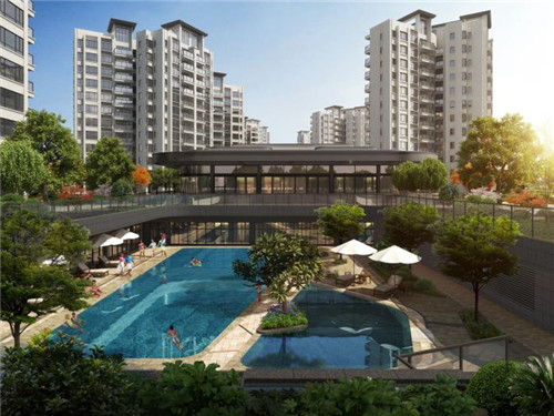 养雷龙鱼十大禁忌是什么（养雷龙鱼十大禁忌是什么呢）