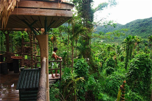 霜字怎么起名好听女（霜字的意思取名字好不好）