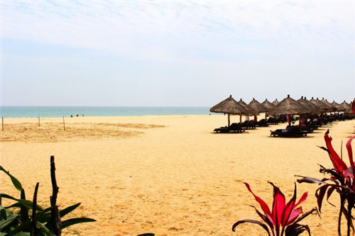 凌子涵抖音平台有股份吗（凌子涵是谁）