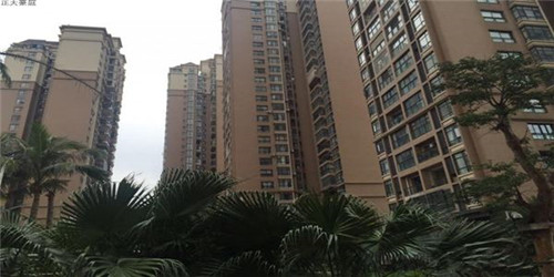 护了是什么意思（护这个字是什么生肖）